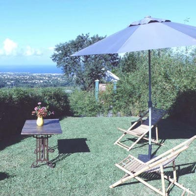 Le jardin privatif fleuri